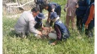 IMG-20260717-WA0088